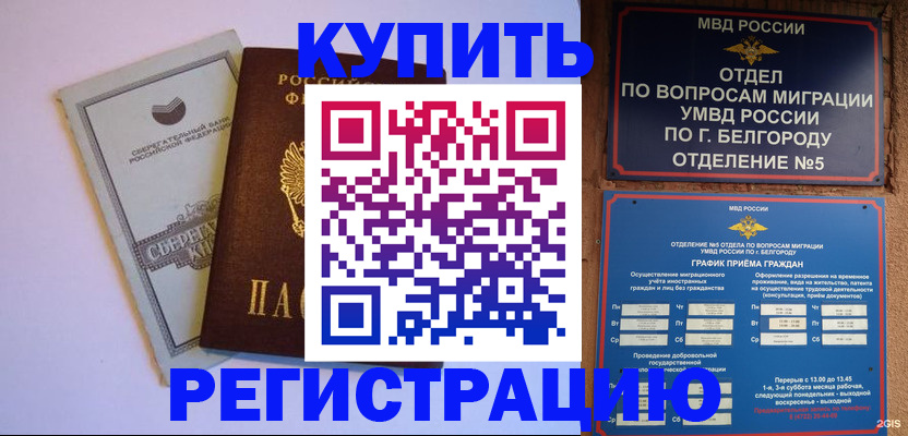 прописка гарантия в Ермолино